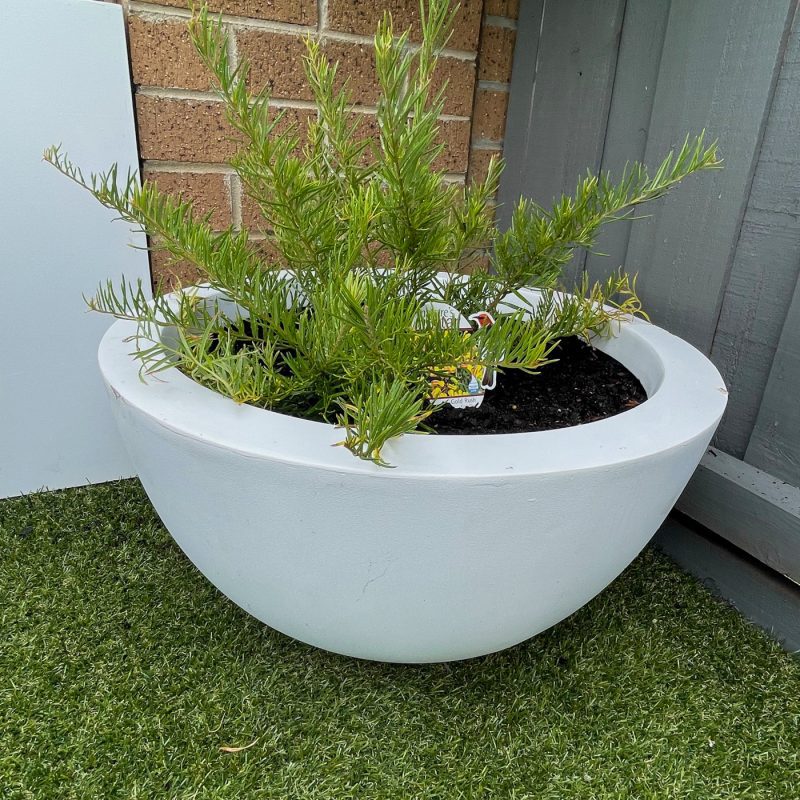 Rio Plant Pots